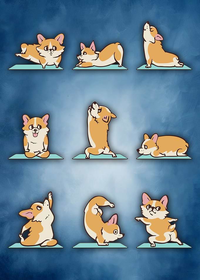 46 Yoga animal 46