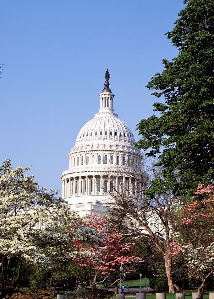 Capitol Hill summer