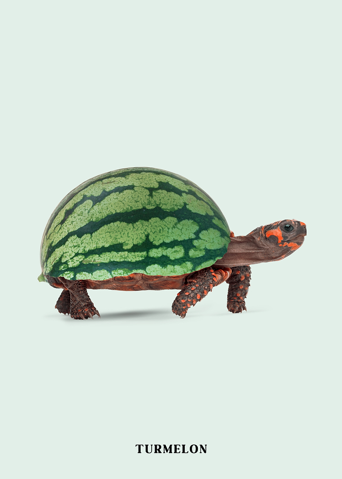 Turmelon