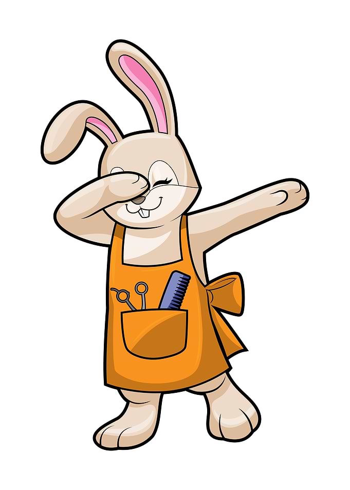 Bunny Hairdresser Scissors
