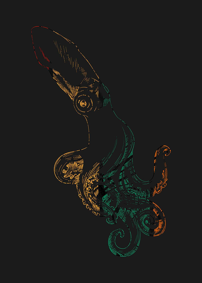 SQUID Animal