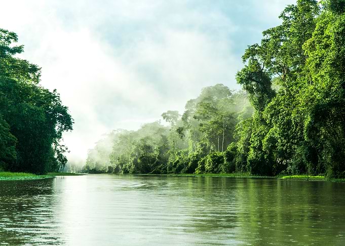 Tortuguero National Park