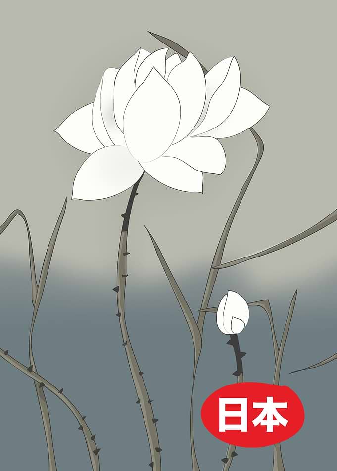 Japanese White Rose