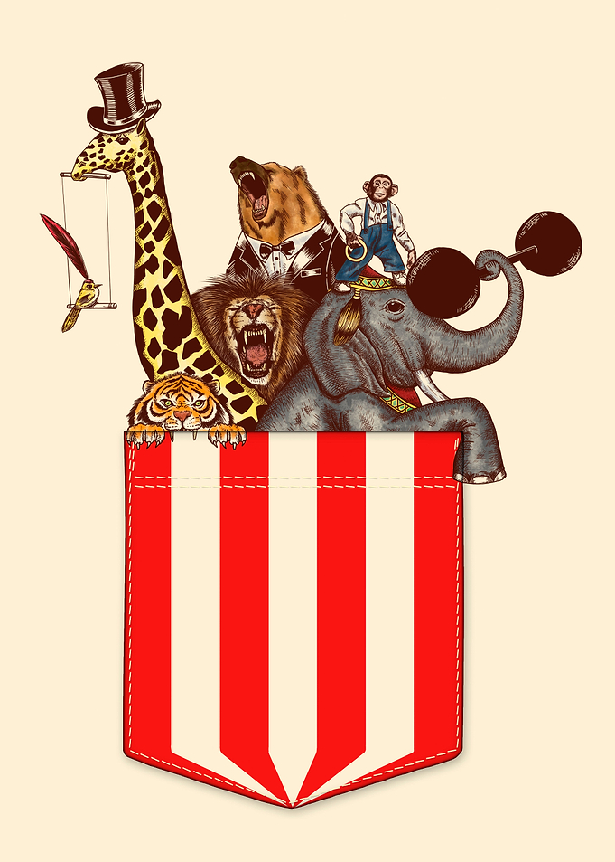 The incredible circus