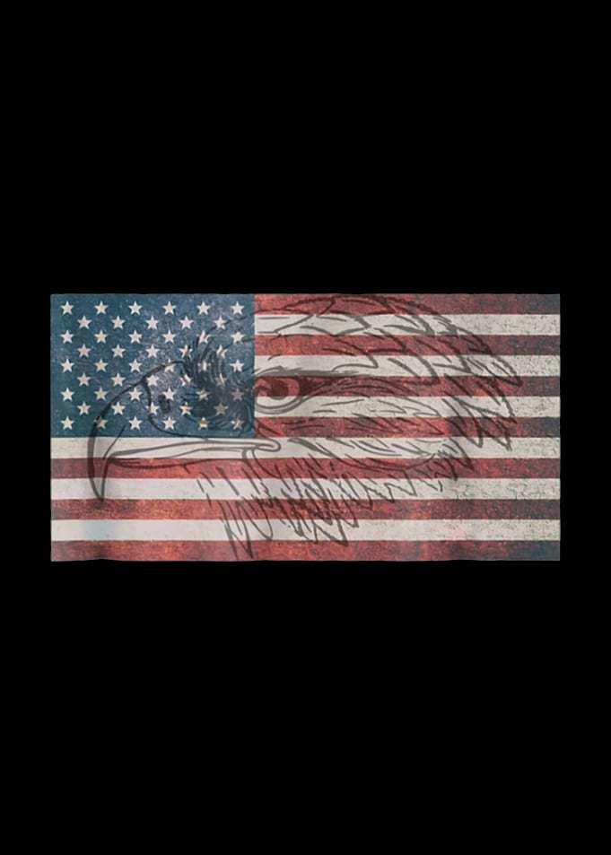 american flag eagle