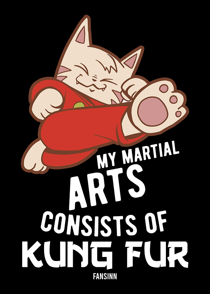 Martials Arts Cat Kitten S