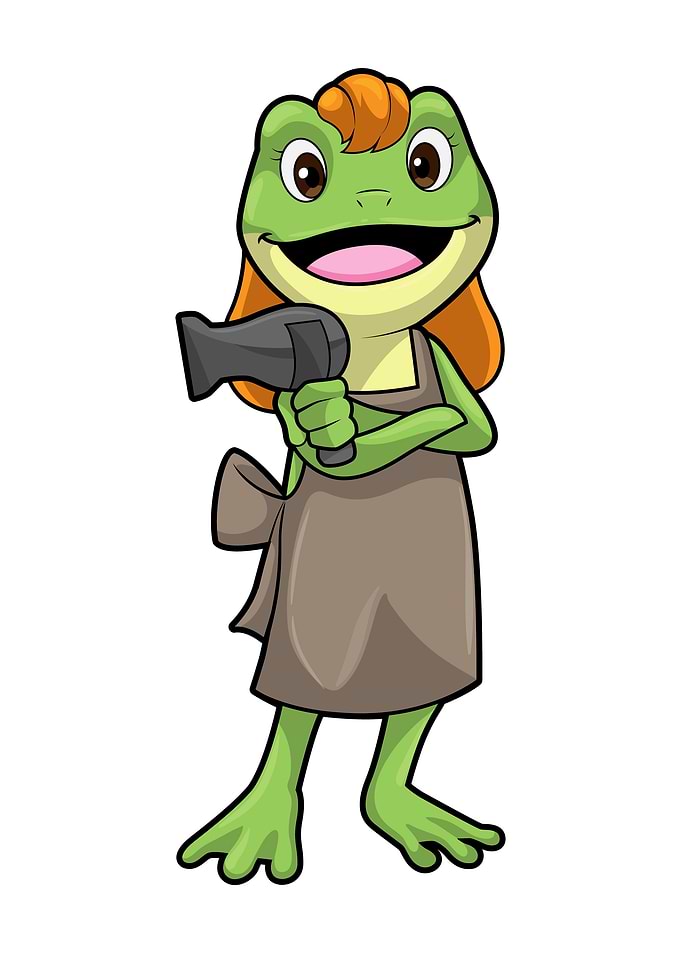 Frog Hairdresser