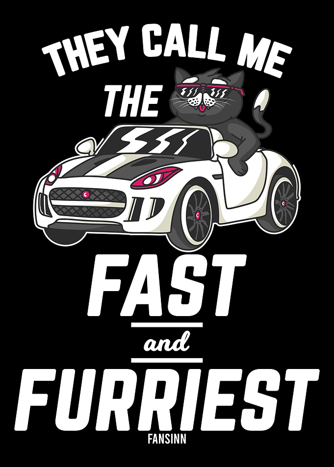 Cat funny saying car excur