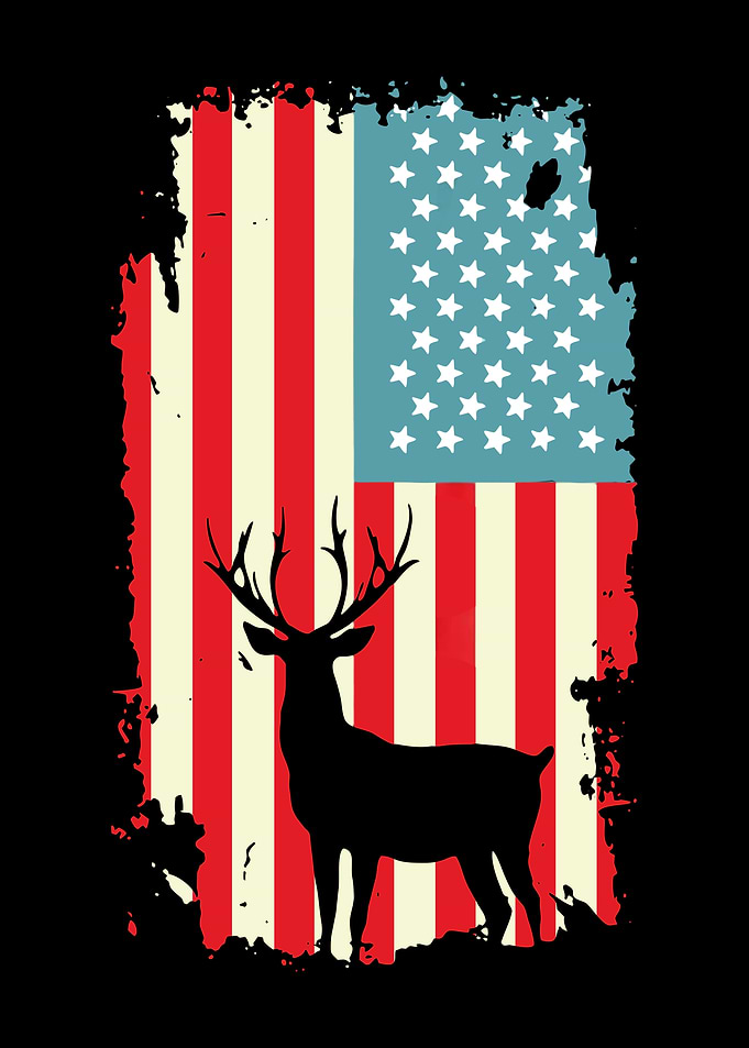 American Flag Eagle