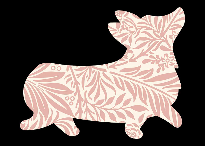 Corgi Floral Flower Corgi