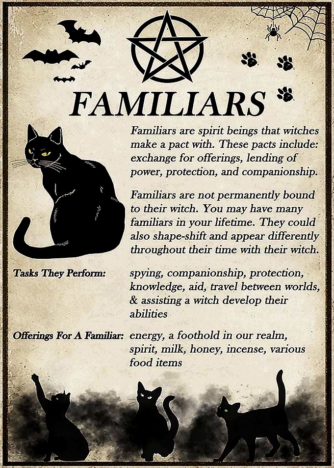 Black Cat Witch Familiar