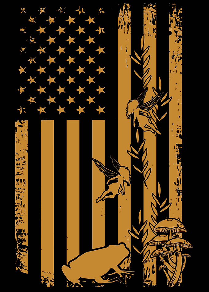 Cottagecore American Flag