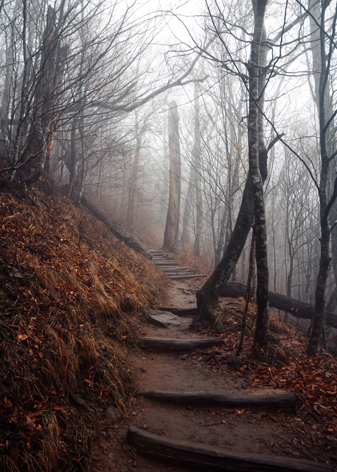 The Foggy Path