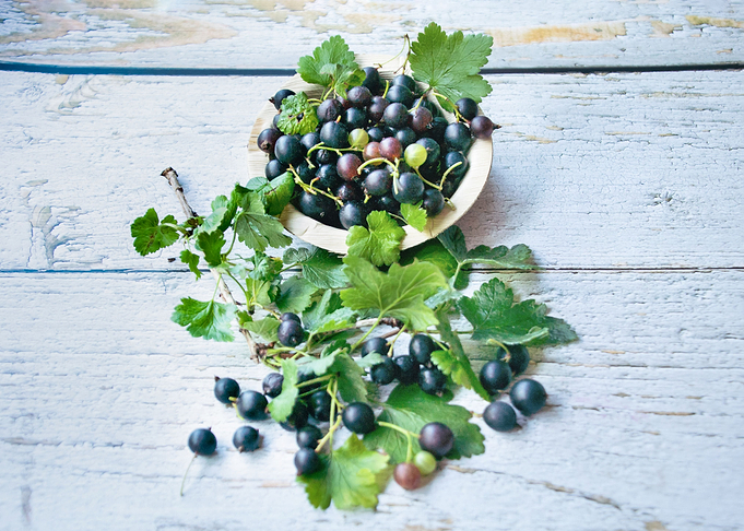 Black and fruity currants