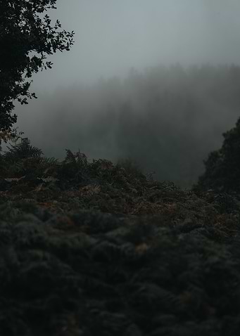 Cloudy Mountains