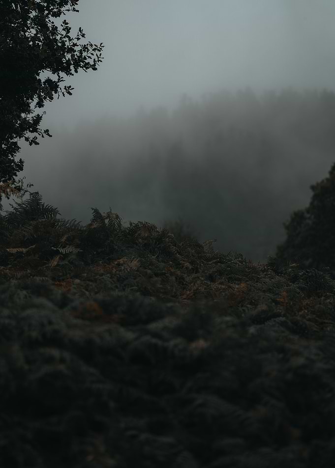 Cloudy Mountains