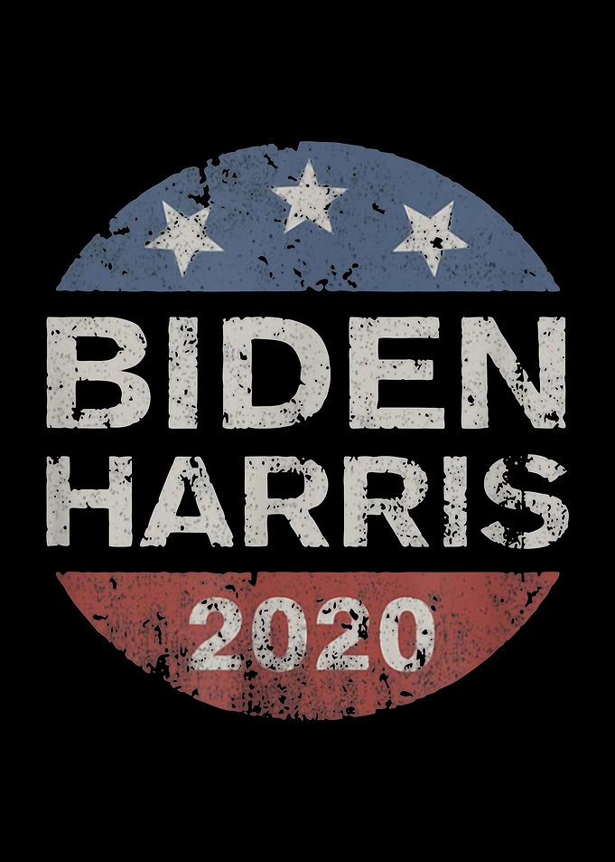 biden harris vote