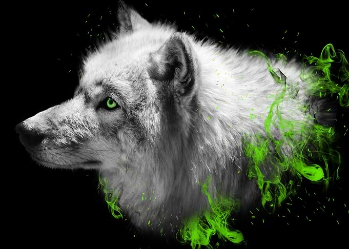 Burning Wolf