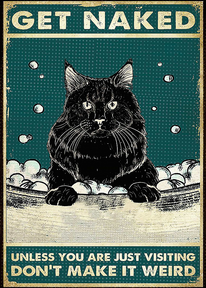 Get Naked Black Cat