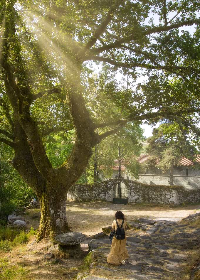 A peacefull place