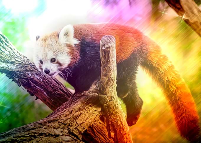 Colored Red Panda Painting