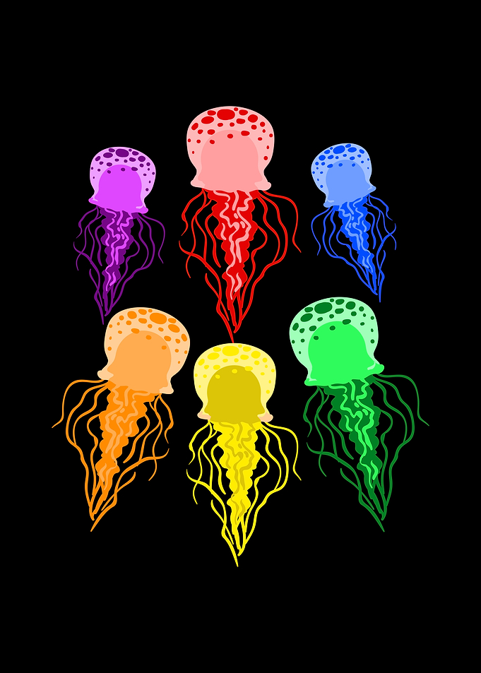 Jelly Sea Water Gift