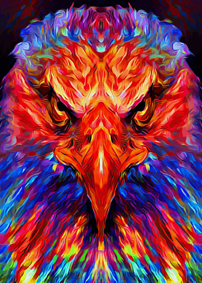 Eagle Colorful Art