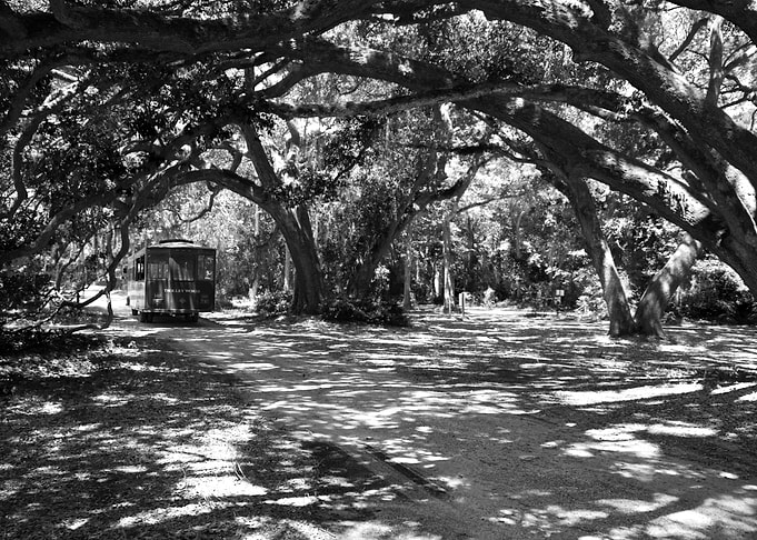 Trolley in the Shade