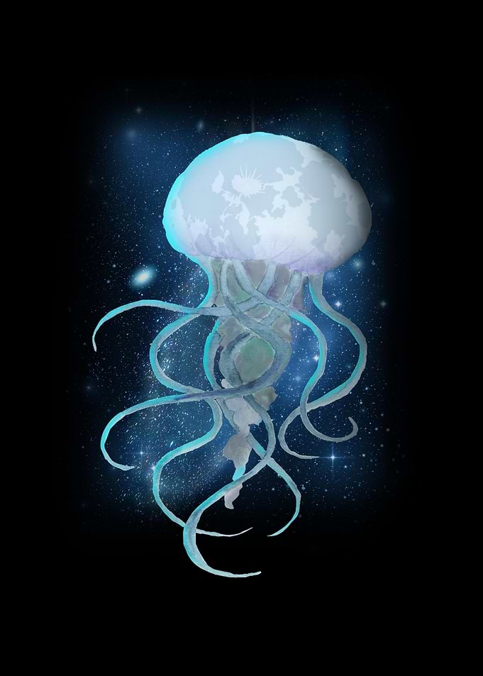 Jelly Sea Water Gift