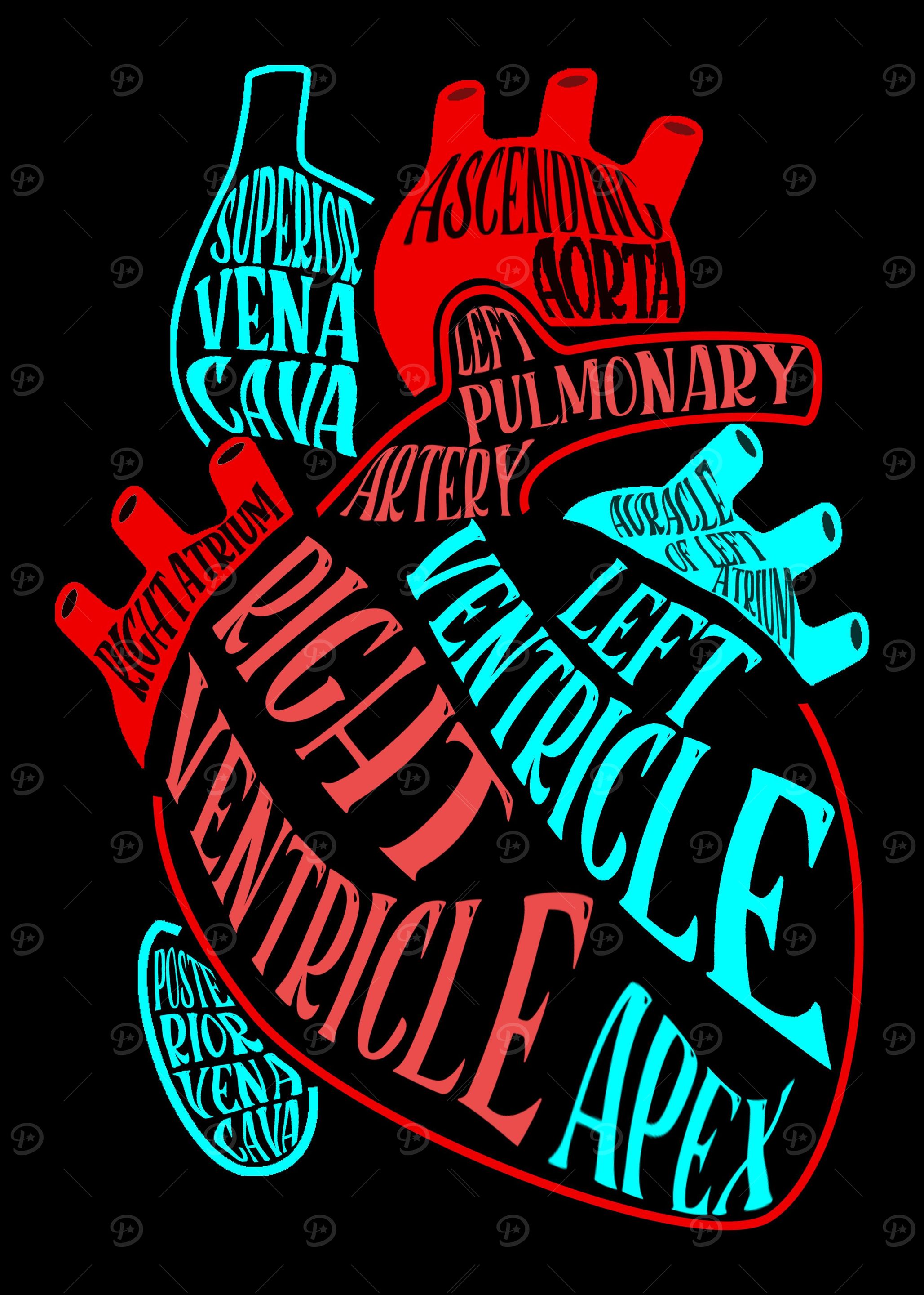 Anatomy Heart Doctor Nurse