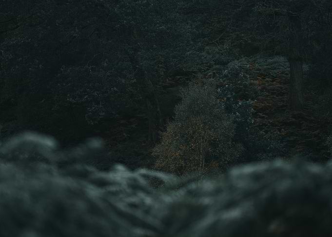 Cinematic