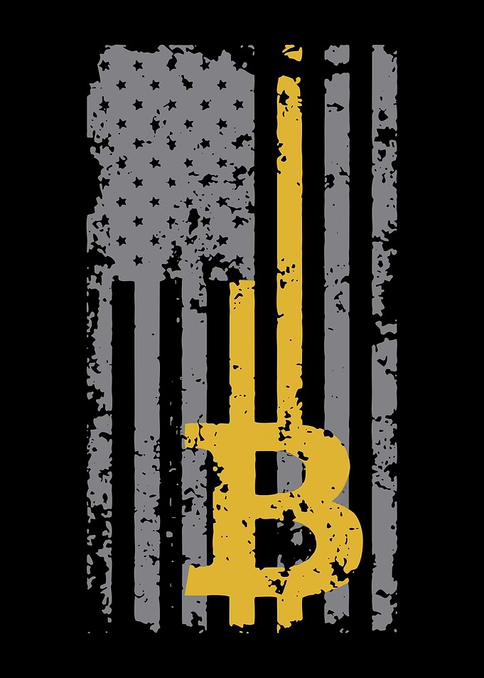 Bitcoin USA Flag