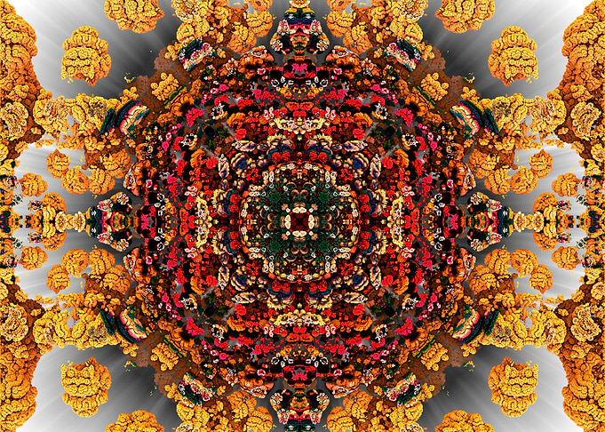 Sacred Yellow Meadow
