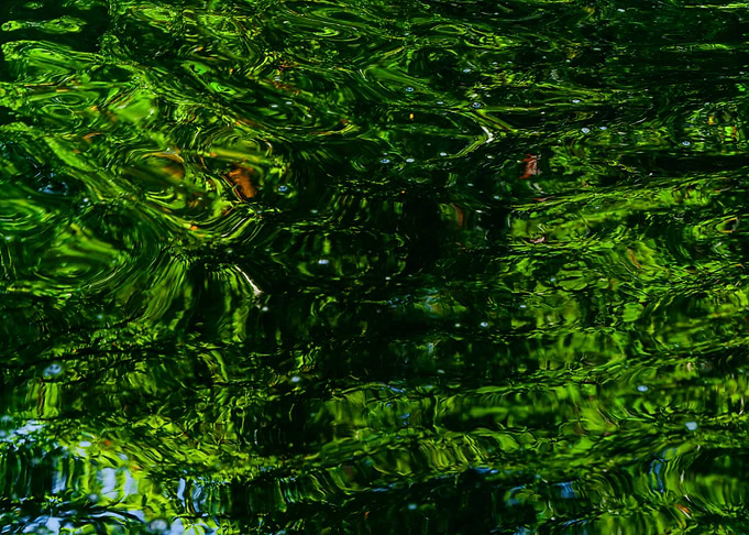Reflection of nature