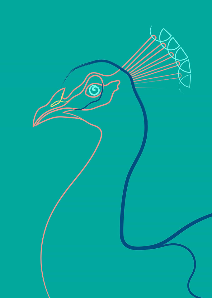 Coloured Line Peacock