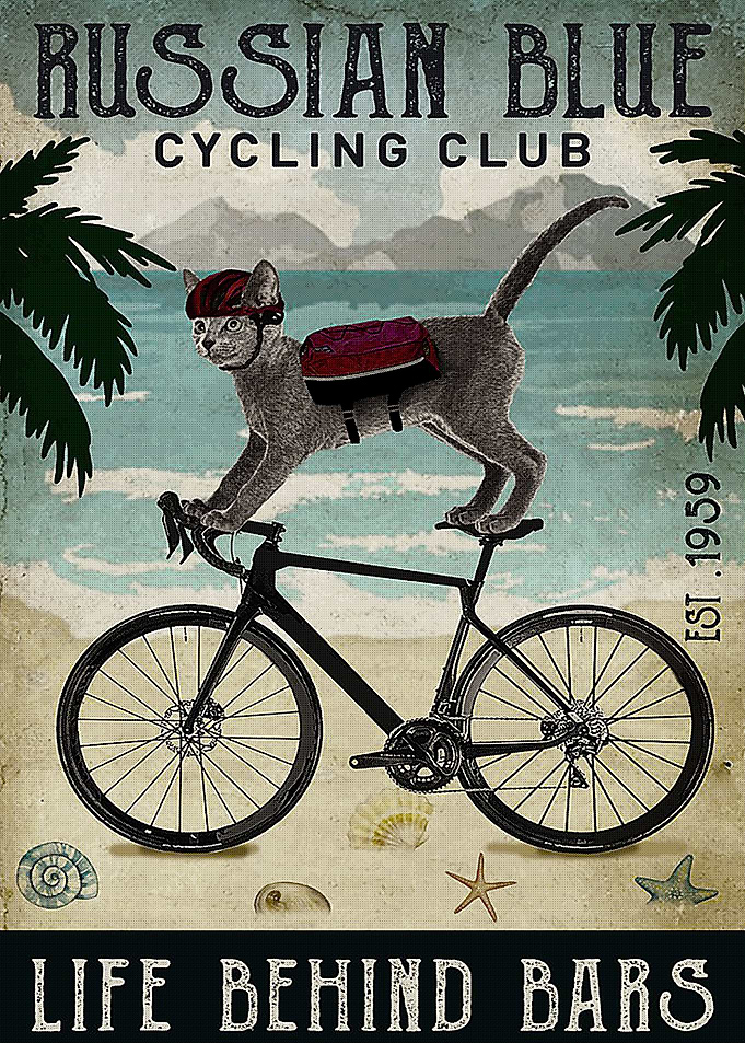 Russian Blue Cat Cycling