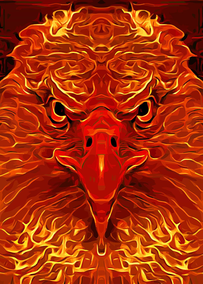 Eagle Burning