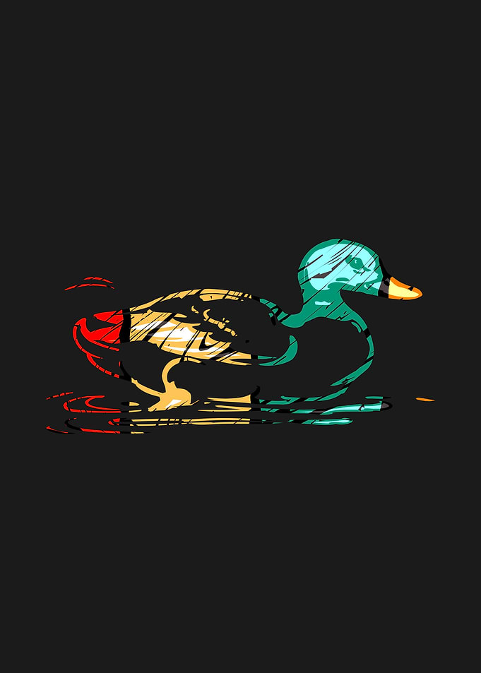 Duck Animal