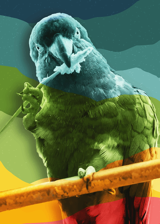 Rainbow Parrot Fingers