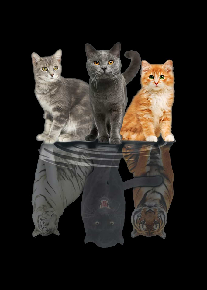 Cats Reflection Mirror