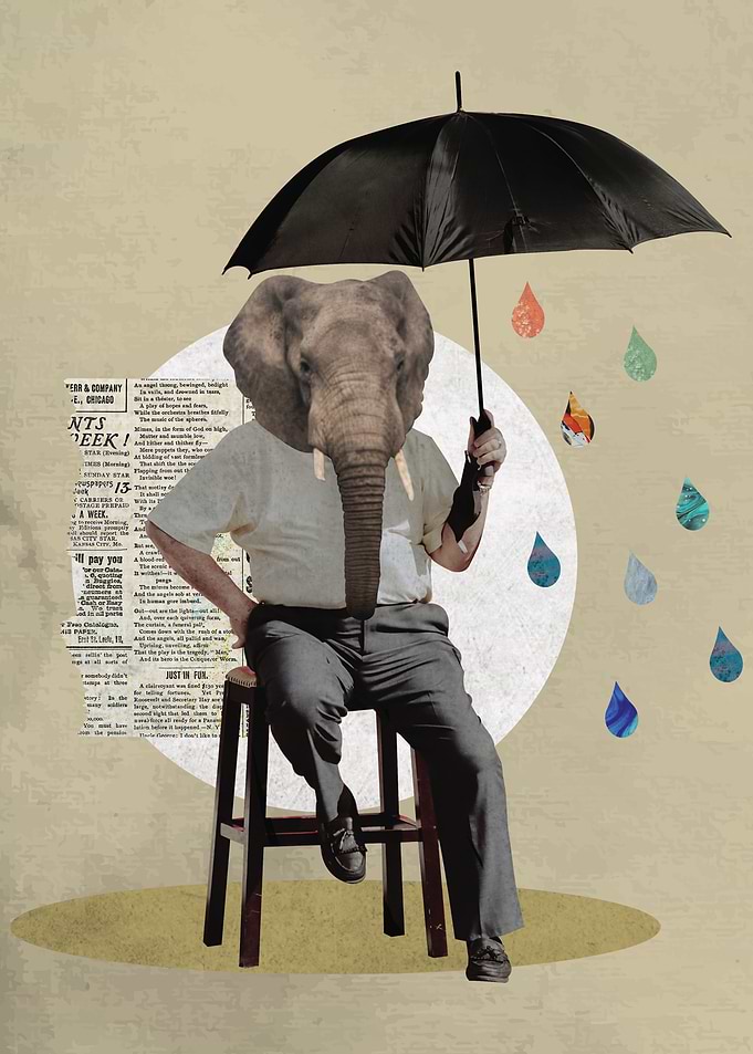 Elephant Man Collage