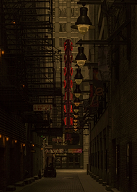 Vintage Neon Goodman