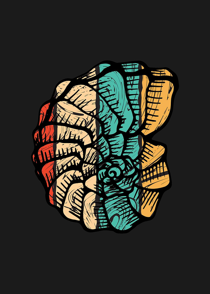 Seashell Animal