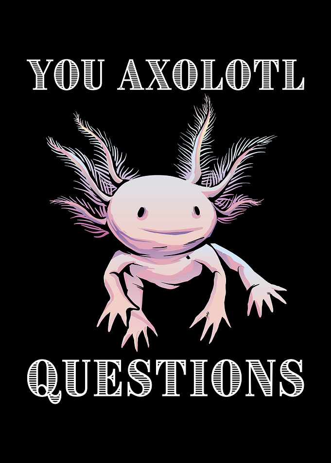 You Axolotl Questions Cute