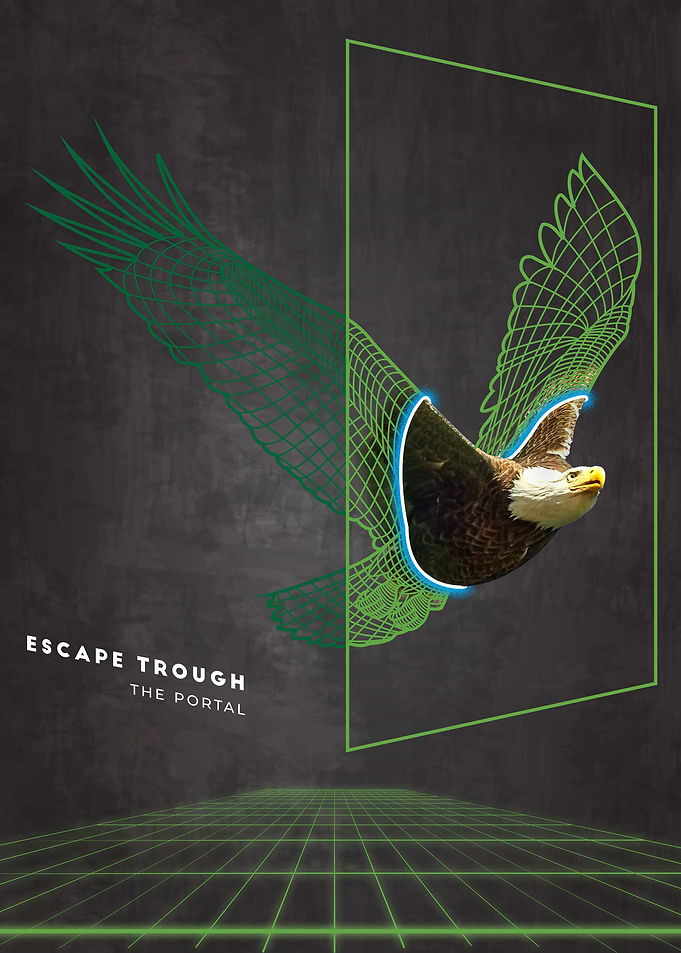Virtual Reality Eagle