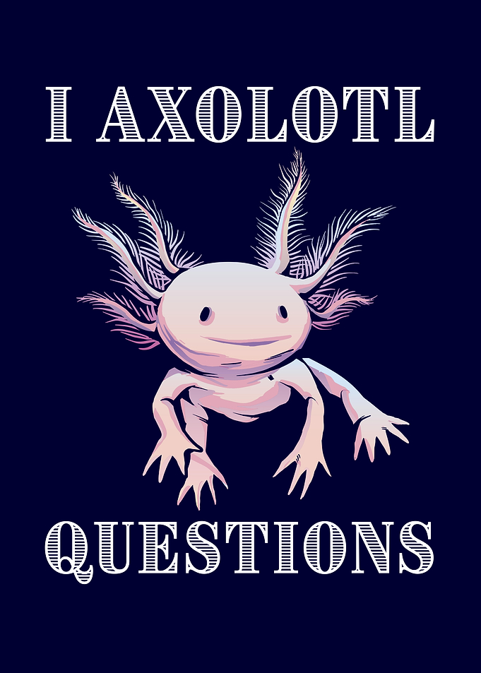 I Axolotl Questions Cute