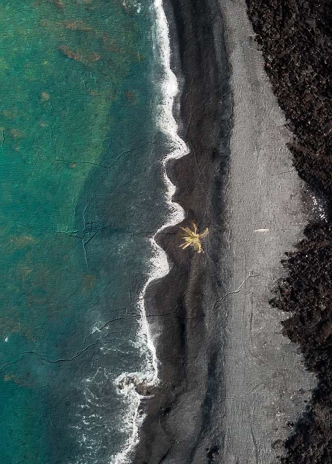The Coast