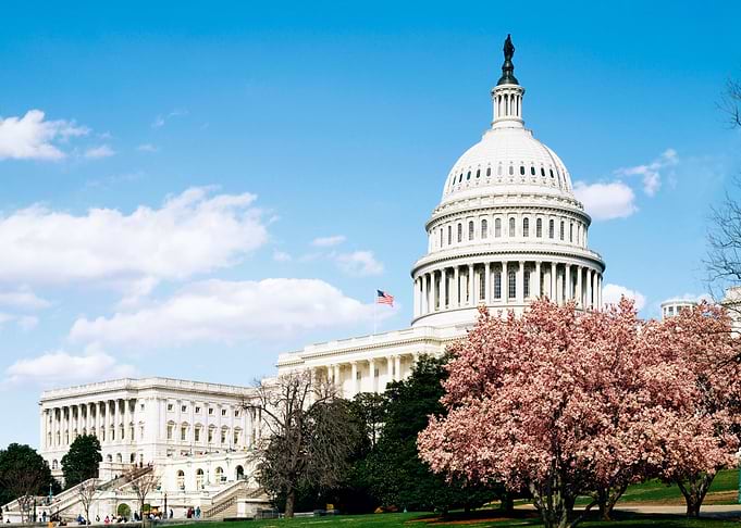 Capitol Hill Summertime