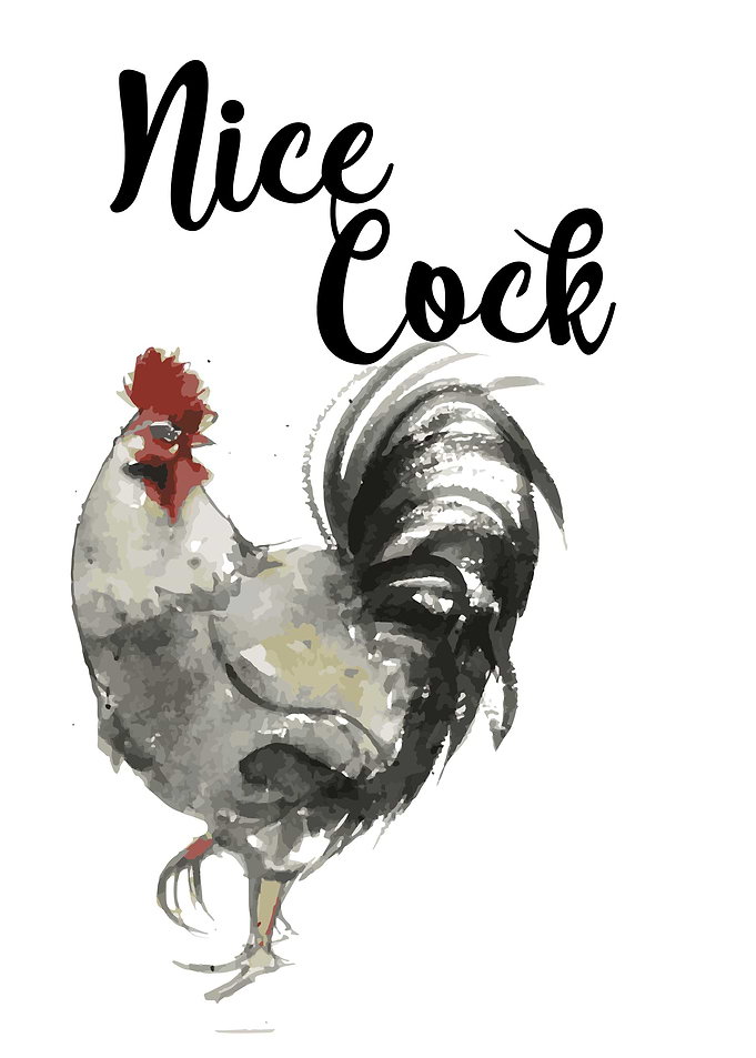 FUNNY BATHROOM NICE COCK 4