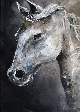 Grey Dapple Horse